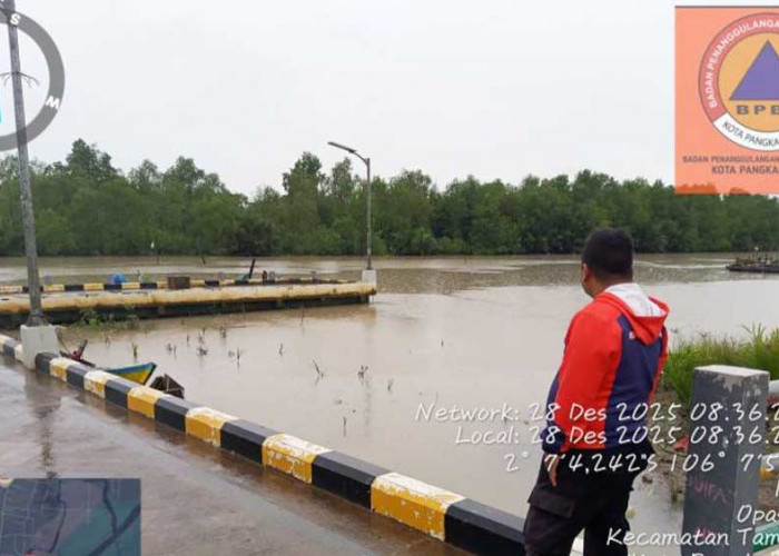 BPBD Pangkalpinang Waspadai Pasang Air Laut, Potensi Banjir Rob Mengintai