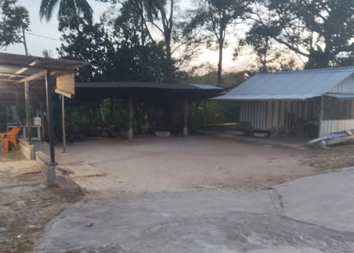 Saat Harga Timah Dunia Melonjak, Kolektor di Belitung Justru Tutup Usaha Karena Ini