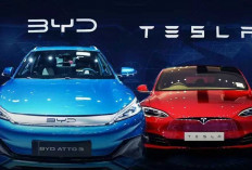 Pendapatan BYD Kalahkan Tesla, Siapa Raja Mobil Listrik di 2024?