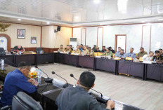 DPRD Babel fasilitasi RDP, Polemik PT GSBL dan Karyawan Dapatkan Titik Terang