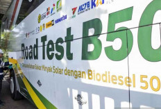 Aturan B50 Mulai Berlaku, Pakar Pastikan Kendaraan Diesel Tak Perlu Perubahan Besar