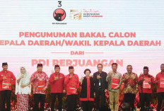 Daftar 163 Bakal Calon Bupati/Wali Kota dari PDIP untuk Pilkada 2024