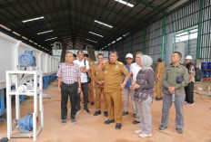 Pabrik Plywood Sengon Pertama Babel Siap Beroperasi di Beltim, Dorong Investasi Rp500 Miliar