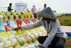 Bapanas: Neraca Pangan Nasional Tetap Kuat, Harga Bahan Pokok Relatif Terkendali Usai Idul Adha