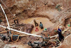 Penambang Rakyat Babel Kini Tenang: Tak Lagi Takut Razia Setelah Bermitra dengan PT Timah
