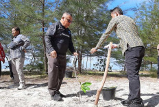 Pemkab Beltim Ajak Jaga Lingkungan Lewat Aksi Tanam Pohon dan Bersih Pantai