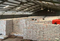 DPR Dukung Usulan Bulog Jadi Kementerian Pangan, Ini Alasannya