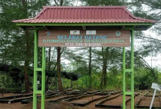 Hkm Seberang Bersatu Belitung Sukses Rehabilitasi Ratusan Hektare Mangrove!