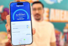 Limit Livin’ Paylater Mandiri Rp20 Juta Tidak Muncul? Ini 4 Penyebab dan Solusinya!