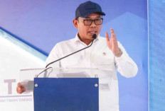 BKPM Resmi Memulai Proyek Hilirisasi Timah di Batam Senilai Rp1,2 Triliun