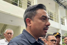 Menteri UMKM Maman Abdurrahman Fokus Akselerasi Perlindungan Usaha Mikro