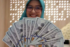 Saatnya Indonesia Mengurangi Ketergantungan Pada Dolar