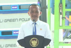 Jokowi Resmikan Proyek Investasi Baterai Listrik Senilai USD 4,46 Miliar di Karawang