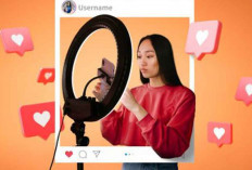 Kemenkomdigi Kaji Wacana Sertifikasi Influencer di Indonesia
