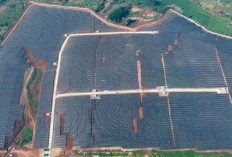 Terbesar di Indonesia, PLN Bersama Aruna PV Resmi Operasikan PLTS 'Ground-Mounted' 