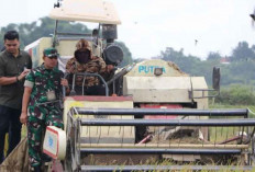 Aktualisasi Peran TNI dalam Menyejahterakan Rakyat
