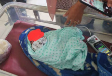 Heboh! Bayi Perempuan Ditemukan di Teras Rumah Warga, Ini Ciri-cirinya