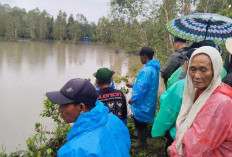 Peringatan Nyata Buaya Sungai Cerucuk: Penambang Timah Belitung Diminta Segera Menyingkir