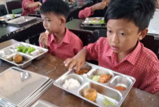 MBG Kini Hanya Dibagikan di Hari Sekolah, BGN Hapus Sistem Bundling Saat Libur