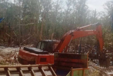 Mantan Penambang di HKM Juru Seberang Angkat Bicara, Bongkar Bekingan dan Bos Timah