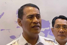 Mentan Amran Kecam Penyelundupan Beras dan Komoditas Pangan di Kepri