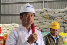 Bulog Pastikan Stok Beras Sisa Impor 2024 Tetap Terjaga Kualitasnya