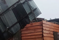 Puting Beliung Selat Nasik Hancurkan 1 Rumah, BPBD Belitung Bergerak Cepat