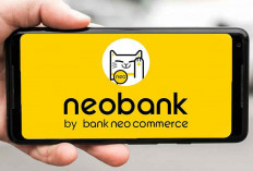 Cara Dapat Uang Jutaan dari Aplikasi Neo Bank 2025, Sudah Terbukti Cuan dan Aman!