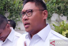 Wamentan Targetkan Indonesia Bebas Impor Beras 2025, Serapan Capai 1,3 Juta Ton