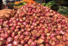 Harga Bahan Pangan Anjlok, Bawang Merah dan Cabai Merah Turun Hampir 50 Persen