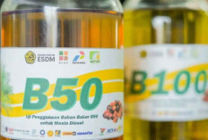 Pemerintah Pastikan B50 Tak Merusak Mesin, Sudah Lewati Uji Komprehensif