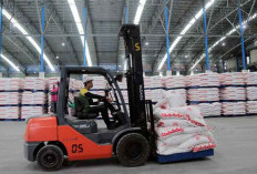 Danantara Serap 40.000 Ton Gula Tak Terserap Pasar untuk Lindungi Petani