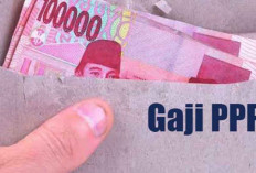 Kabar Gembira! Gaji PPPK dan ASN Naik 8 Persen di 2025, Ini Detailnya