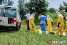WHO Minta Sejumlah Negara Tinjau Ulang Pembatasan Perjalanan Akibat Wabah Ebola