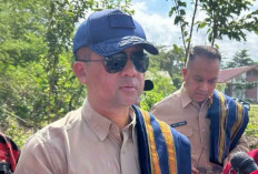 Brasil Minat Investasi Peternakan Sapi di Sumba Timur, Kementerian Transmigrasi Gelontorkan Rp28 Miliar