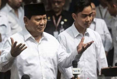 Frasa 'Presiden Terpilih' Tak Sesuai dengan Konstitusi