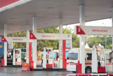 Sesudah B50: Menata Ulang Logistik Nasional