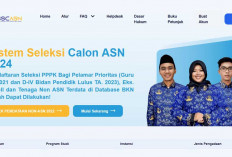 Penting Sebelum Daftar PPPK 2024, Ini Cara Cek Nama di Database BKN