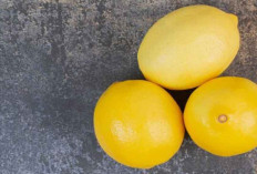 Jangan Dibuang! Ini 7 Manfaat Kulit Lemon untuk Kesehatan dan Kecantikan