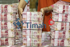 PT Timah Suntik Modal Rp10 Miliar ke Anak Usaha Agribisnis, Dorong Diversifikasi Bisnis