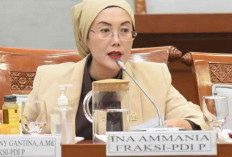 DPR Desak Penindakan Jasa Nikah Siri di TikTok