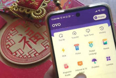 OVO Pastikan Tidak Ada Kerja Sama dengan Penyelenggara Judi Online