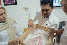 Tren Ekspor Perikanan Babel Naik Drastis, Januari–Juni 2025 Tembus Segini