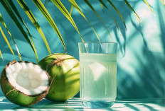 Kapan Waktu Terbaik Minum Air Kelapa? Ini Penjelasan Medisnya!