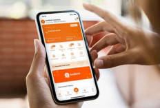 Simulasi Angsuran Pinjaman Online Rp1–20 Juta SeaBank di 2025, Cair Hitungan Menit