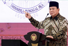 Pemerintah Buka Lagi Program Magang Bergaji UMK, Targetkan 80 Ribu Lulusan Baru Ikut Batch 2