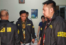 Bareskrim Geledah Eksportir Sawit, Dugaan Manipulasi Data CPO Mulai Diusut