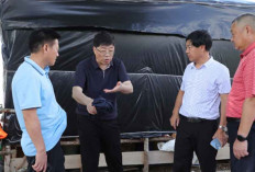 Kembali Kunjungi Babel, Investor China Tambah Yakin Tanam Modal Besar