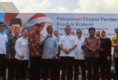 Indonesia Ekspor 351 Ton Kratom ke AS dan Eropa, Nilai Capai Rp 17,4 Miliar