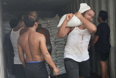 Gudang Timah Ilegal di Belitung Digeberek Satgas PKH Halilintar, Ribuan Karung Disita